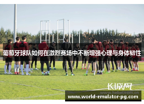 葡萄牙球队如何在激烈赛场中不断增强心理与身体韧性