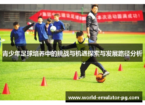 青少年足球培养中的挑战与机遇探索与发展路径分析