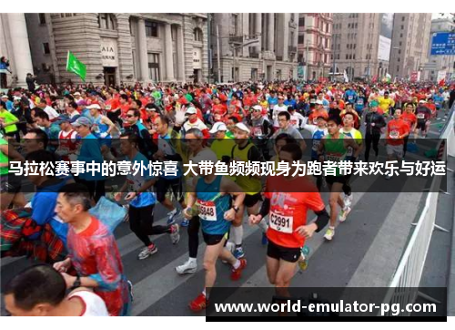 马拉松赛事中的意外惊喜 大带鱼频频现身为跑者带来欢乐与好运