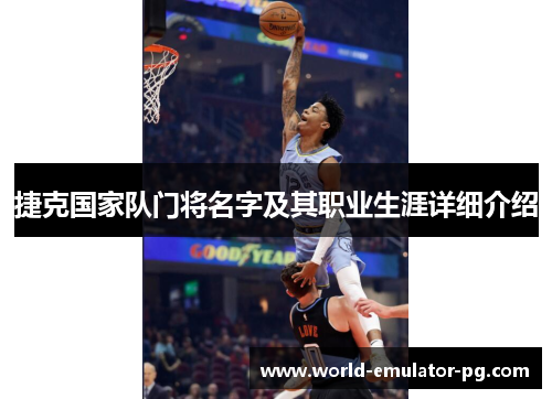 捷克国家队门将名字及其职业生涯详细介绍 捷克国家队门将名字及其职业生涯详细介绍