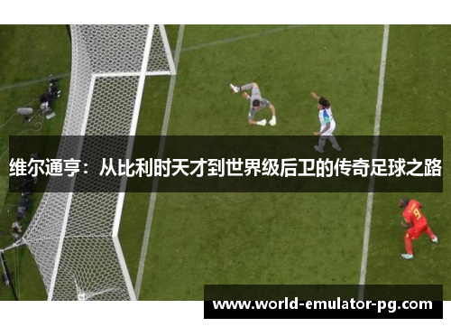 维尔通亨:从比利时天才到世界级后卫的传奇足球之路 维尔通亨:从比利时天才到世界级后卫的传奇足球之路