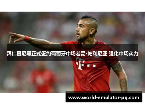 拜仁慕尼黑正式签约葡萄牙中场若昂·帕利尼亚 强化中场实力