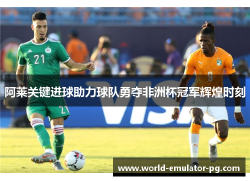 阿莱关键进球助力球队勇夺非洲杯冠军辉煌时刻 阿莱关键进球助力球队勇夺非洲杯冠军辉煌时刻